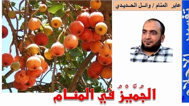 الجميز في المنام | الجميز في الحلم | إعداد وائل الحديدي
