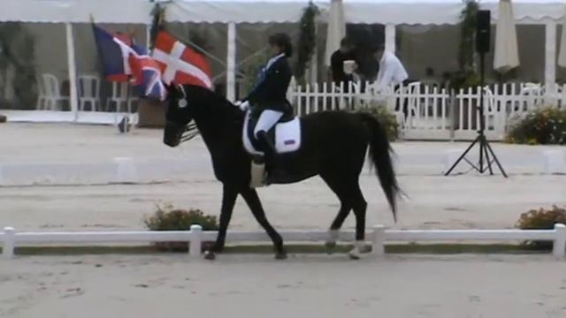 European Dressage Championship J/Y 2013. Kupriyanova Viktoria / Ubidor (RUS)