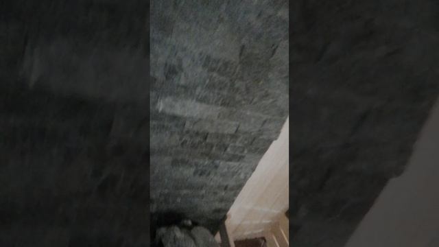 сауна липа и термо вставки дополнение