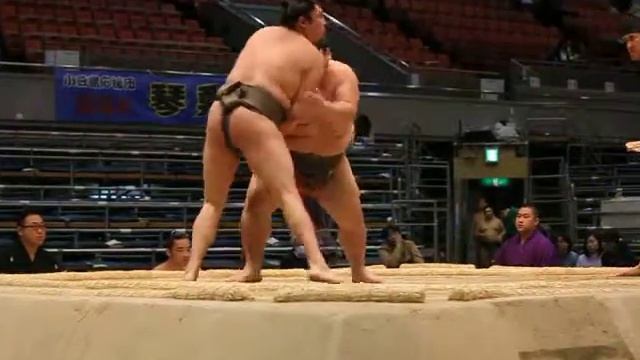 Sumo wrestling Division Six (jonokuchi division) March 24 2016 EDION Arena