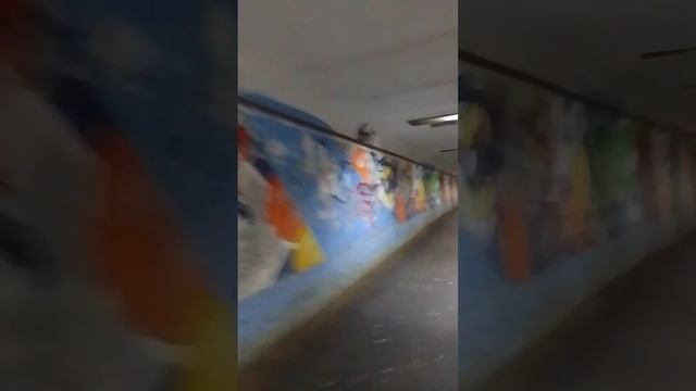 VID-20250307-WA0056