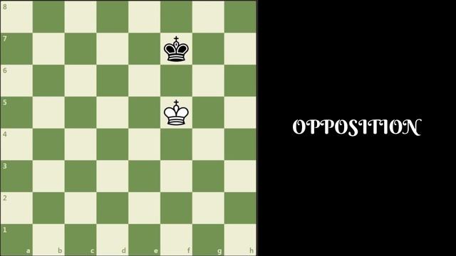 Pawn Endgame Technique | King and Pawn Endgame Part 1 | Chess Endgame(2019) |  Puzzle Rush Contest