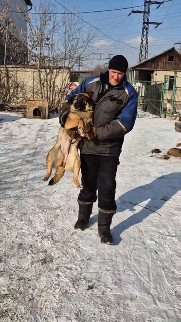 Грета