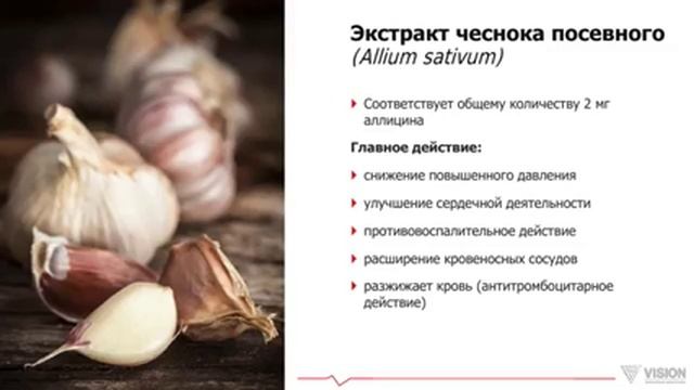 CardioDrive, Corvital Vision. Презентация нового кардио продукта
