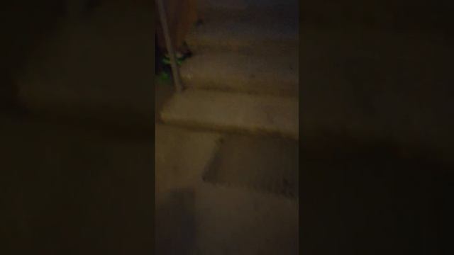 VID_20250307_110635.mp4