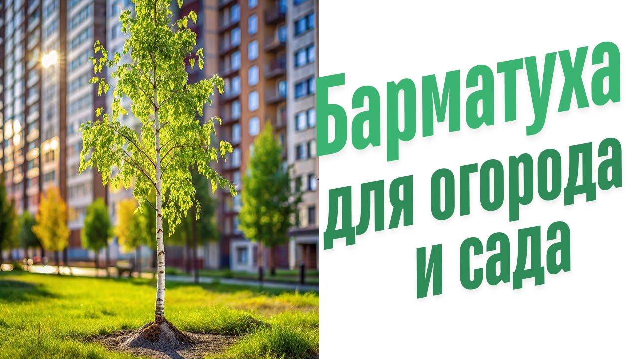 Барматуха для огорода и сада.