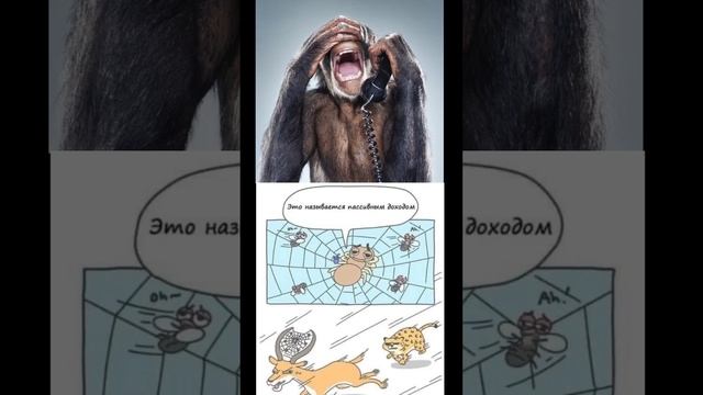 Гражданин начальник и инвестиции 👮♂️