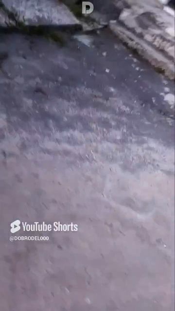 Илюшка, карась!