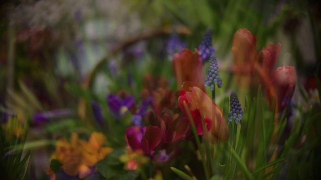 МАРТОВСКИЕ КОНТРАСТЫ 5.3.25.