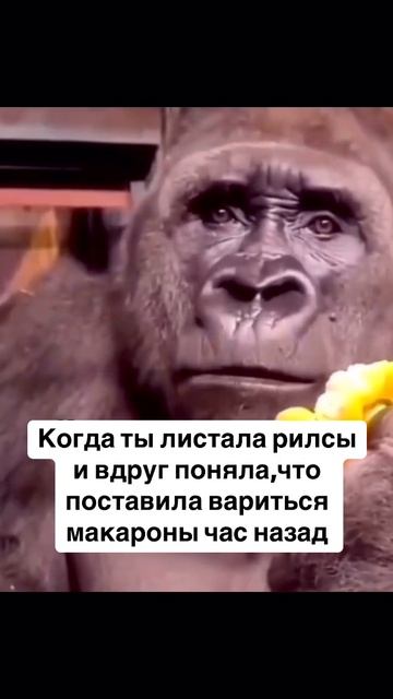Смешавки.