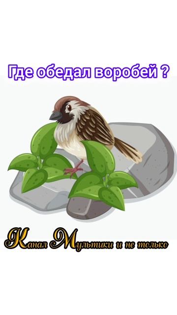 Где обедал воробей ? | Стихи детям | С. Я. Маршак | Стихи для малышей на ночь 😴 Стихотворения