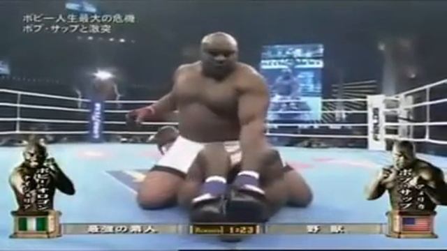 Bob Sapp MMA LWin Compilation #1
