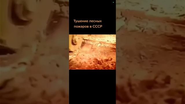 Тушение лесных пожаров