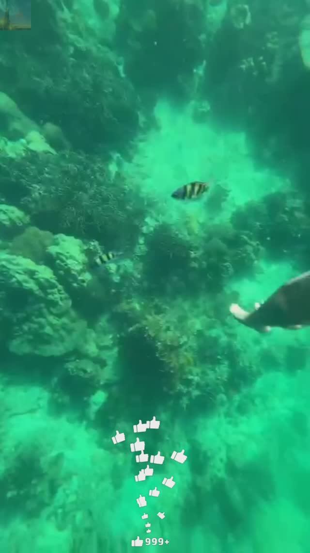 Тайланд, остров Рача (Рача Яй, Рая)🏝️ Морские рыбки и кристально чистая вода.