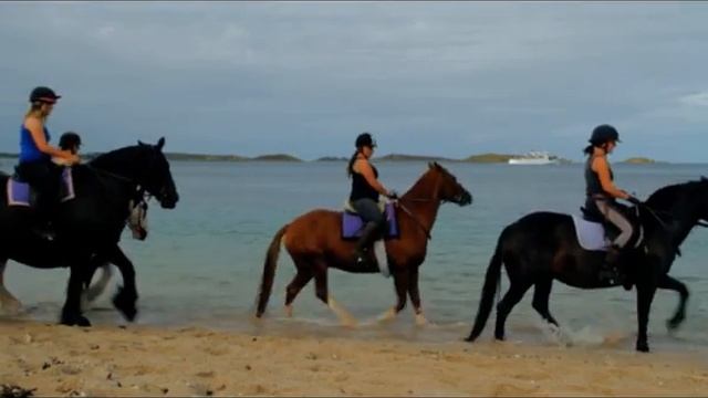 Horse Riding in The Isles of Scilly
