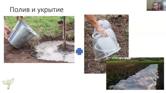 1000024306.mp4