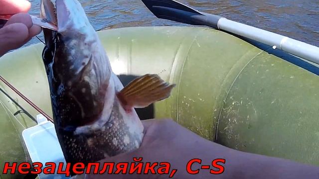 Ловля щуки.  По щучьим местам в мае. Pike fishing. Hechtangeln