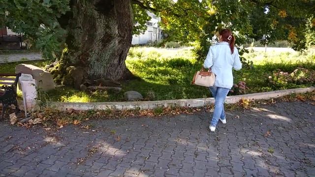 Грюнвальдский дуб