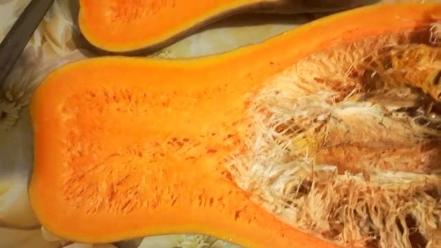 Результаты Супер хранение тыквы 2019