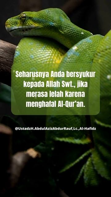 Bersyukur Kepada Allah Swt , @petunjukhidup9048
