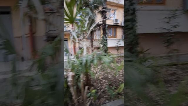 1000113820.mp4