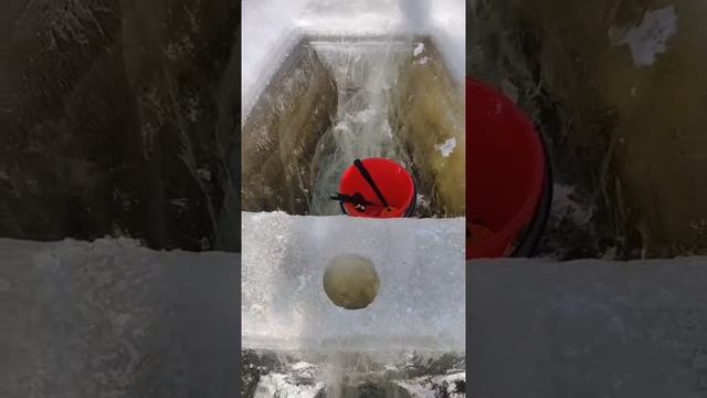 Лодка изо льда, ещё и на ходу 👍🏻