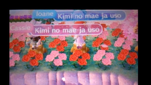 •🌸Parodie Acnl✨Miku & Luka~ft.Elora Acnl🌈(#14)