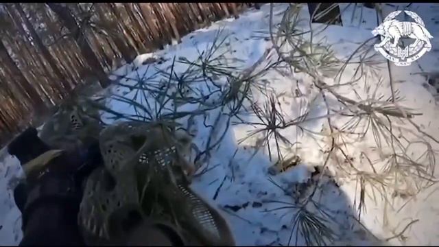 Ukraine war - Kreminna