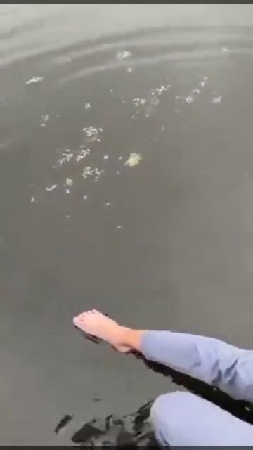 Хохоча во всё горло ССЫЛКА В ОПИСАНИИ!
