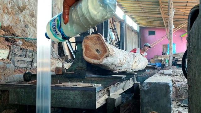 JANGAN DITIRU || sawmill memotong kayu begini bisa di jebloskan dalam penjara.woodworking