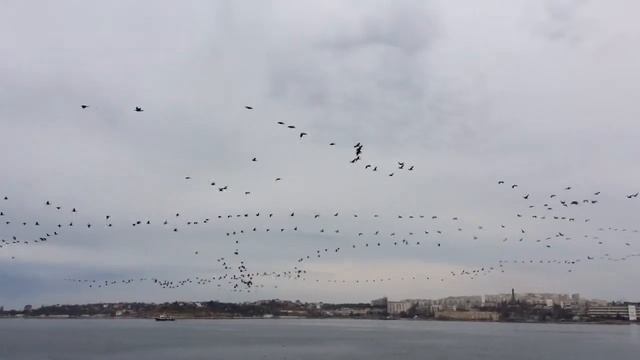 Птиданс