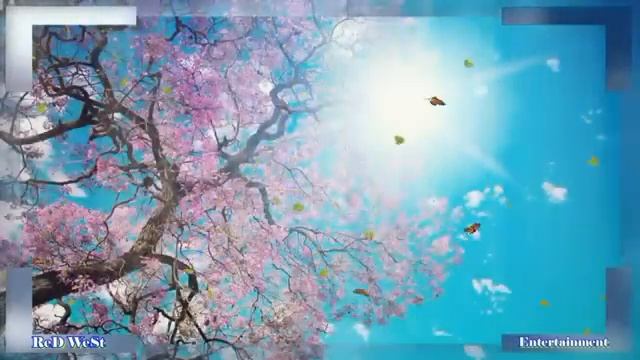 Очень Красивая музыка Полет души  HD