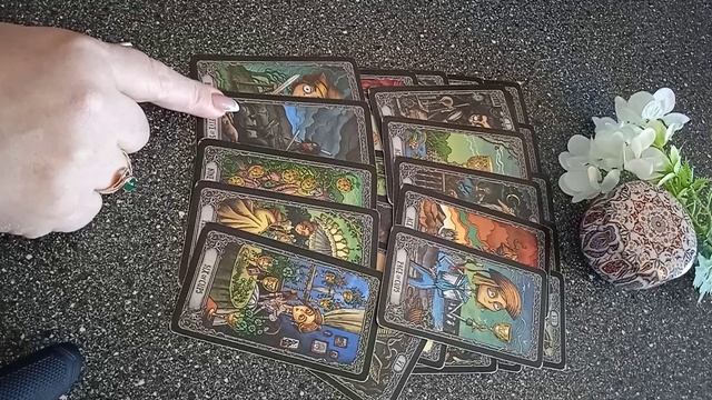 VID_20250308_114143.mp4
