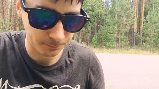 VLOG из леса