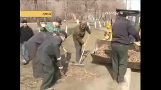 Собрать последний урожай и подготовить сад к зимовке дачники могут до 26 октября