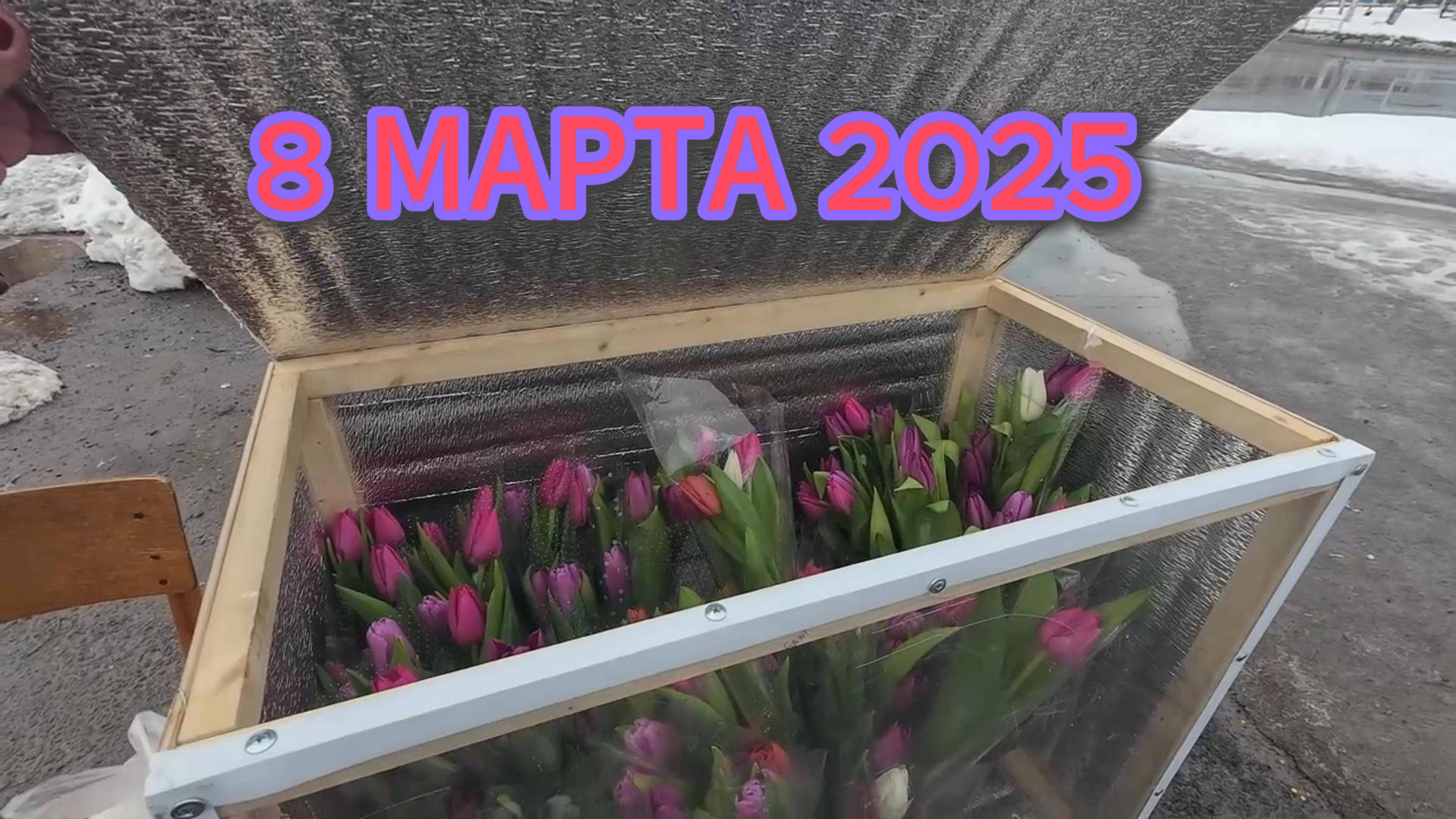 8 марта 2025, цена тюльпана, погода от снега до солнца..