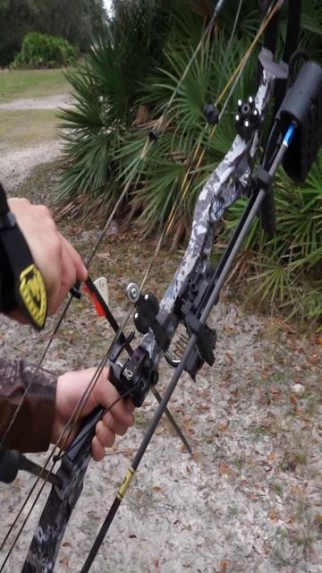 Come Hog Hunt with us. We're giving away a hog hunt in Florida