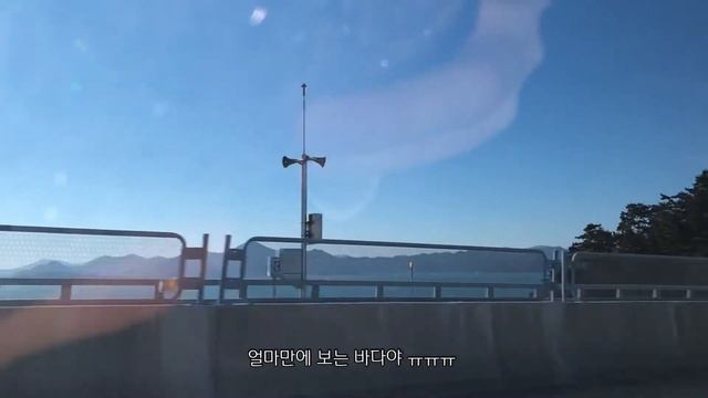 종강한 대학생의 일상 브이로그 (베이킹/고양이/플라워카페/송년회)