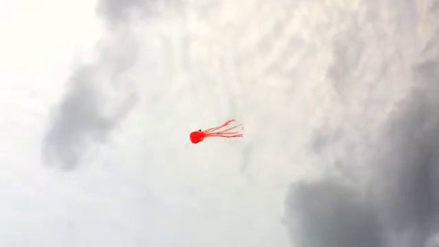 3D Octopus Soft Kite