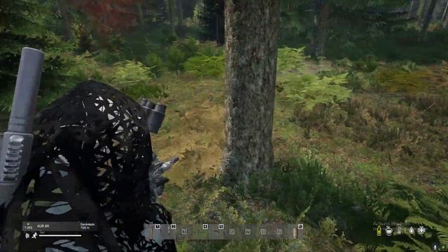 Dayz. Bear Hunting. Охота на медведя.