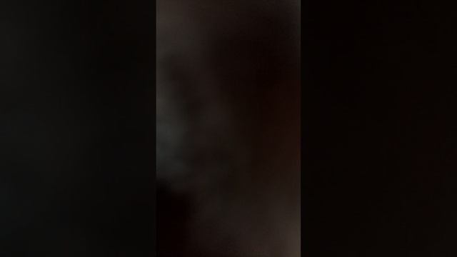 4 серия. Скибиди гуся