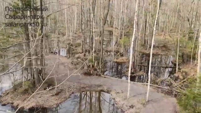 Весна в Подмосковном Сафари-парке