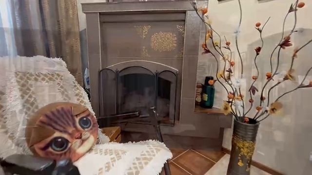 VID_20250308_141624_954.mp4