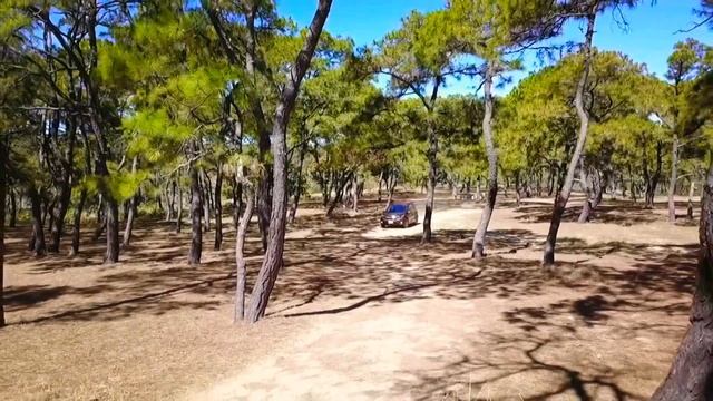 Shooting DJI Mavic Pro Bosque Primavera