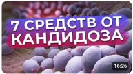 Кандидоз – это опасно Как избавиться от кандидоза