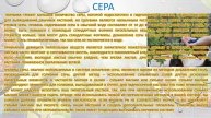 ГИДРОПОНИКА ГОЛУБИКИ