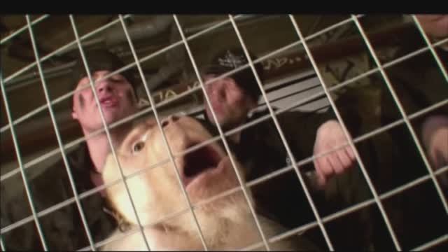 КАПА и Картель - Капа и Картель (Official Video)