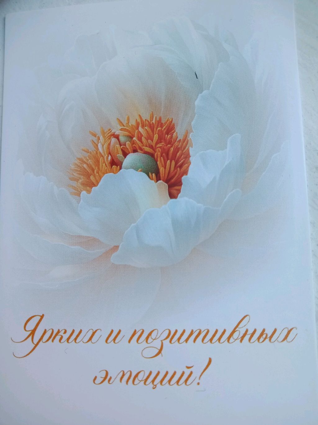 С 8 марта мои нежные, мои красивые вас поздравляю 🌷🌷🌷