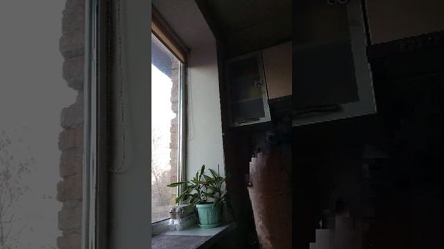 кушаю 2 часть