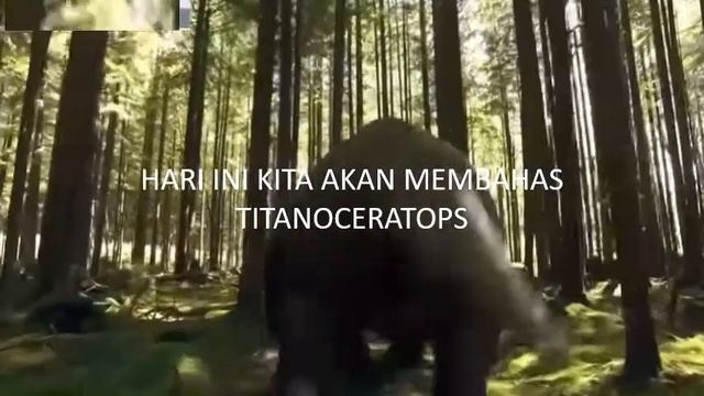 FAKTA TITANOCERATOPS | CERATOPSIANS RAKSASA